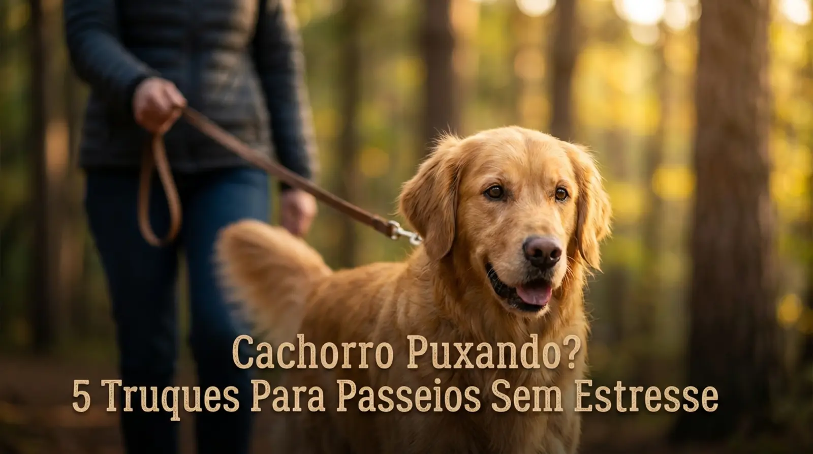 cachorro puxando muito a guia no passeio o que fazer